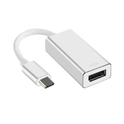 Conversor Tipo-C A Display Port (H) Netmak