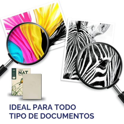 Papel Obra en resma de 500 hojas A4 Ledesma NAT (210 x 297 mm.) de 75 Grs. - Imagen 8