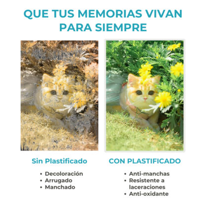 Pouch Plastificado Oficio 225x362mm – Acabado Glossy de Alta Resistencia - Imagen 9