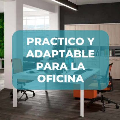 Monitor Oficina de 19 Pulgadas con Base V - HD 1440x900 - Imagen 6