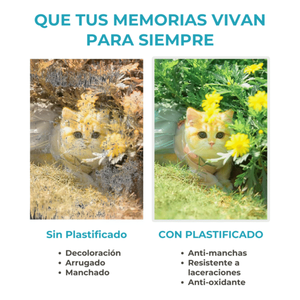 Pouch para Plastificar A4 225x303mm – Acabado Brillante y Espesor de 80 Micrones - Imagen 9